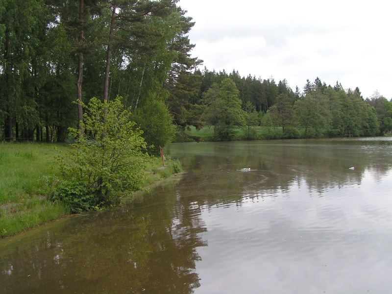 Ředkovec - Foto č. 10