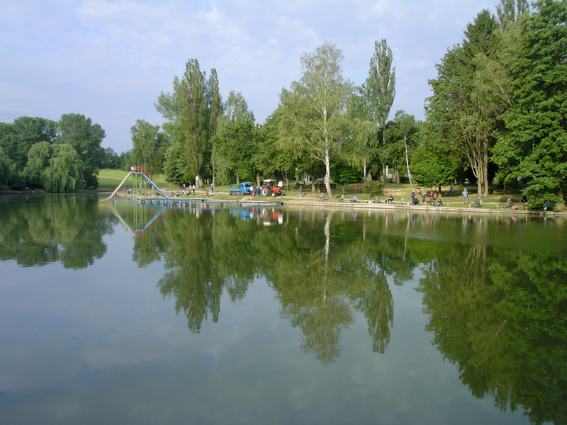 Stejskal - Veřejné koupaliště Rouchovany - Foto č. 1